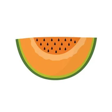 Slice of cantaloupe melon isolated element. Summer fruit healthy food print Stock Illustration