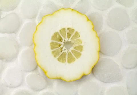 Slice of cedar on surface of white stone Stock Photos