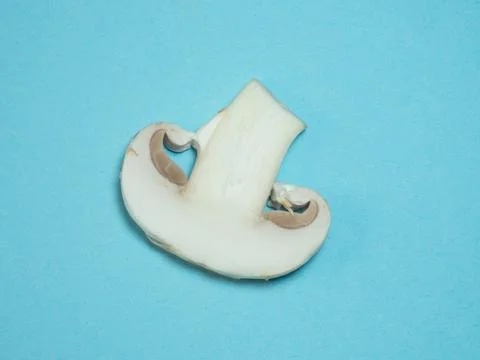 A slice of champignons on a blue background Stock Photos