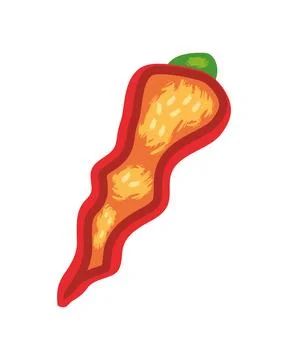 Slice chili icon Stock Illustration