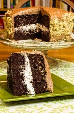 Slice of chocolate marshmallow cake Stock Photos