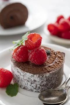 Slice of chocolate roll cake or swiss dessert cake with raspberries. Vertic.. Stock Photos