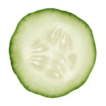 Slice of cucumber isolated on white background Stock Photos