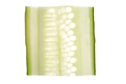 Slice of cucumber Foto stock