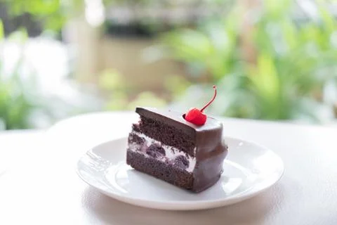 Slice of dark chocolate cake cherry sauce. tasty delicious dessert on white p Stock Photos
