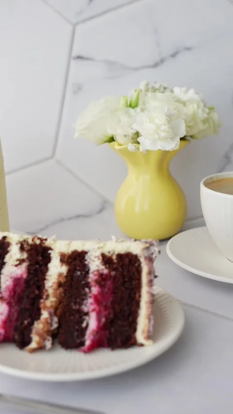 Slice of delicious chocolate cake with berry filling on plate. Stock Footage 297775251