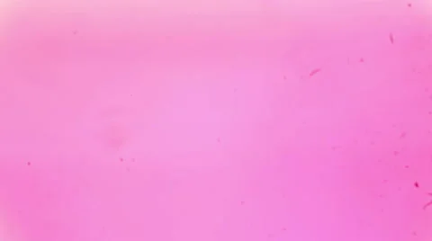 Slice of dense bone tissue under the microscope (Dense bone Sec.), Full HD Vídeos de archivo 47057301