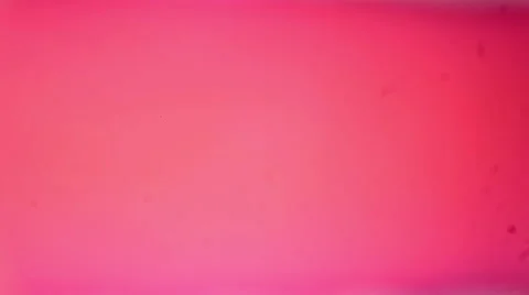 Slice of dense bone tissue under the microscope (Dense bone Sec.), Full HD Stock Footage 47086643
