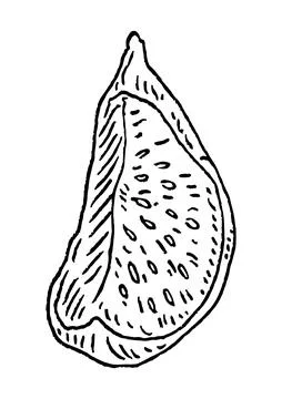 Slice dry fig. Vector black vintage engraving illustration. イラスト素材