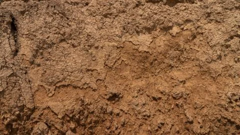 Slice of earth as background texture for artists Stock Photos