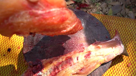 Slice of fish meat for cooking on blurred background 库存影片 145840840