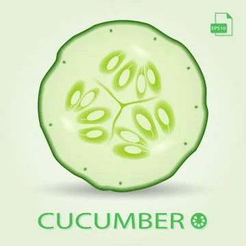 Slice Of Fresh Cucumber Isolated On A Background. Stock Illustration