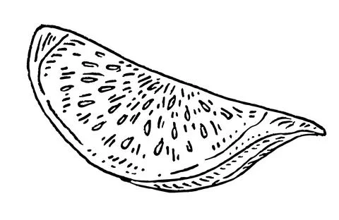 Slice fresh fig. Vector black vintage engraving illustration. イラスト素材