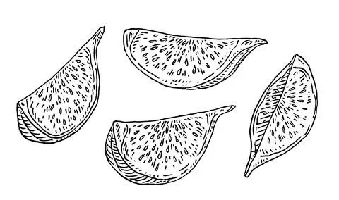 Slice fresh fig. Vector black vintage engraving illustration. イラスト素材
