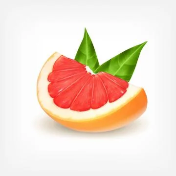 Slice of fresh grapefruit Stock Illustration