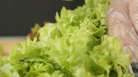 Slice fresh healthy salad 스톡 동영상 148163900