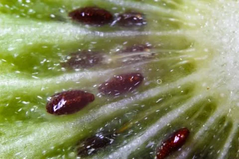 Slice of fresh kiwi fruit Foto stock