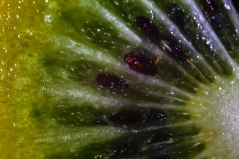 Slice of fresh kiwi fruit Stock Photos