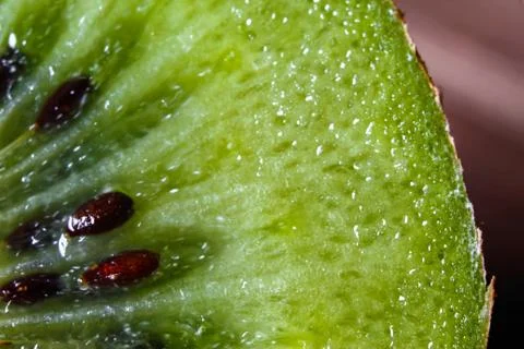 Slice of fresh kiwi fruit Stock Photos