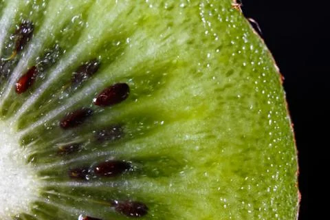 Slice of fresh kiwi fruit Stock Photos