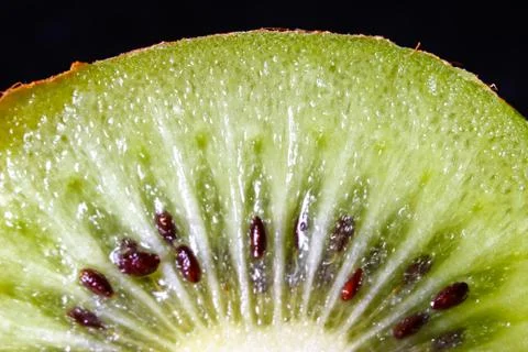 Slice of fresh kiwi fruit Stock Photos