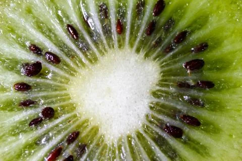 Slice of fresh kiwi fruit Stock Photos