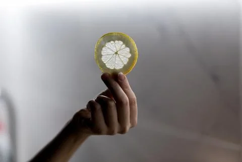 Slice of fresh lemon in hand Stock Photos