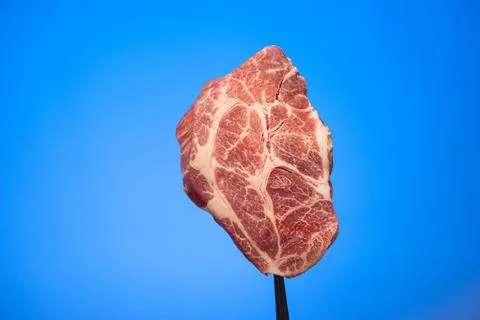 Slice of fresh raw marbled steak on a fork held in hand studio close up shot  스톡 사진