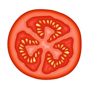 Slice of Fresh Ripe Red Tomato, Vegan Organic Healthy Vegetable Vector 스톡 일러스트