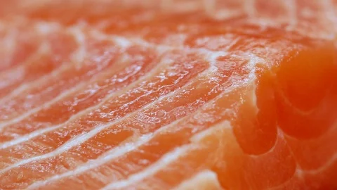 Slice of fresh salmon in macro Stock Footage 99726051