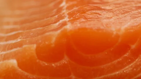 Slice of fresh salmon in macro. Stock Footage 99726105