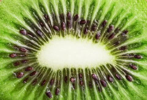 Slice fruit Stock Photos