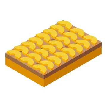 Slice fruit tart cake icon isometric vector. Bakery food Stock Illustration