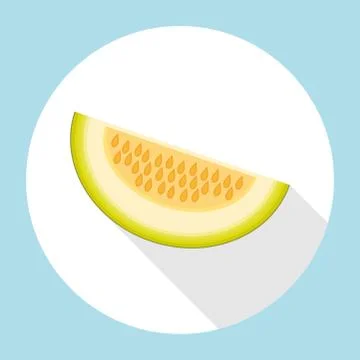 Slice of galia melon with long shadow Stock Illustration