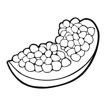 Slice garnet fruit with seed. Vector engraving. Isolated on white Illustrazione stock