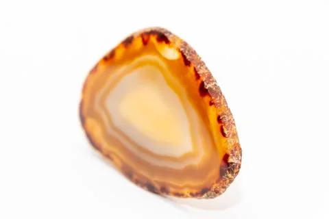 Slice of gem thin cut piece in different tones of yellow and orange and natur Stock Photos