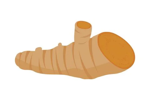 Slice ginger icon Stock Illustration