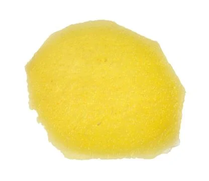 Slice of ginger root lit from behind isolated thin slice of fresh ginger r... Stockfoto's