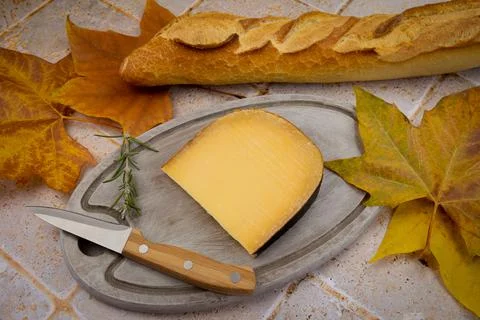 Slice of gouda cheese on a cutting board Stock Photos