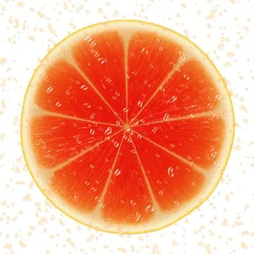 Slice of grapefruit Stock Illustration