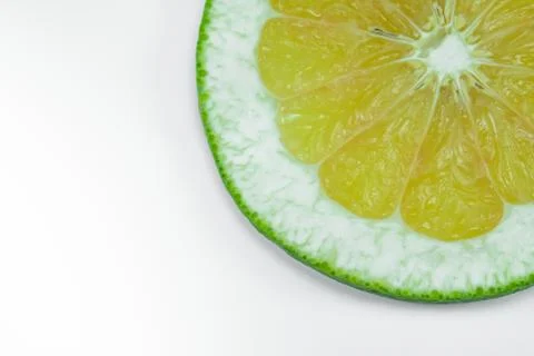 Slice of grapefruit Foto stock