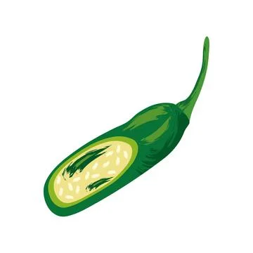Slice green chili Illustrazione stock