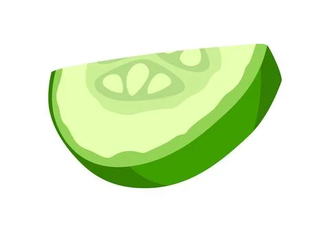 Slice of green cucumber. Fresh vegetables for salad. Stock Illustration