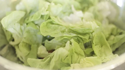 Slice Iceberg Vegetable in Bowl, Prepare Ingredient for Made Salad Stock Footage 128677562