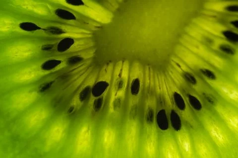 Slice of kiwi  close up background. Stock Photos