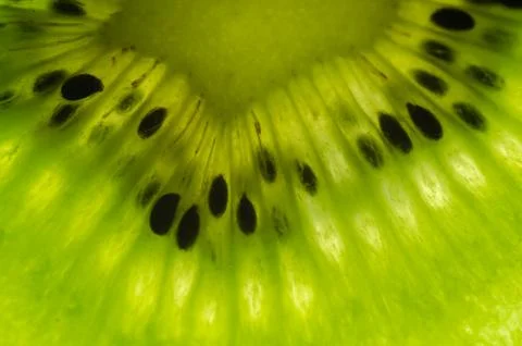 Slice of kiwi  close up background. Stock Photos
