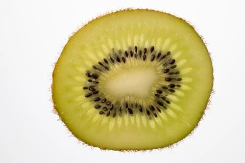 Slice of Kiwi fruit cut in backlight foto shot. Stock Photos