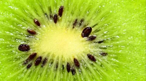 Slice of kiwi fruit on a full frame. Fresh juicy fruit slice closeup. Foto stock