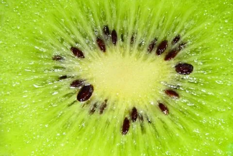 Slice of kiwi fruit on a full frame. Fresh juicy fruit slice closeup. Foto stock