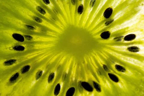 Slice of kiwi fruit on a full frame. horizontal format 스톡 사진